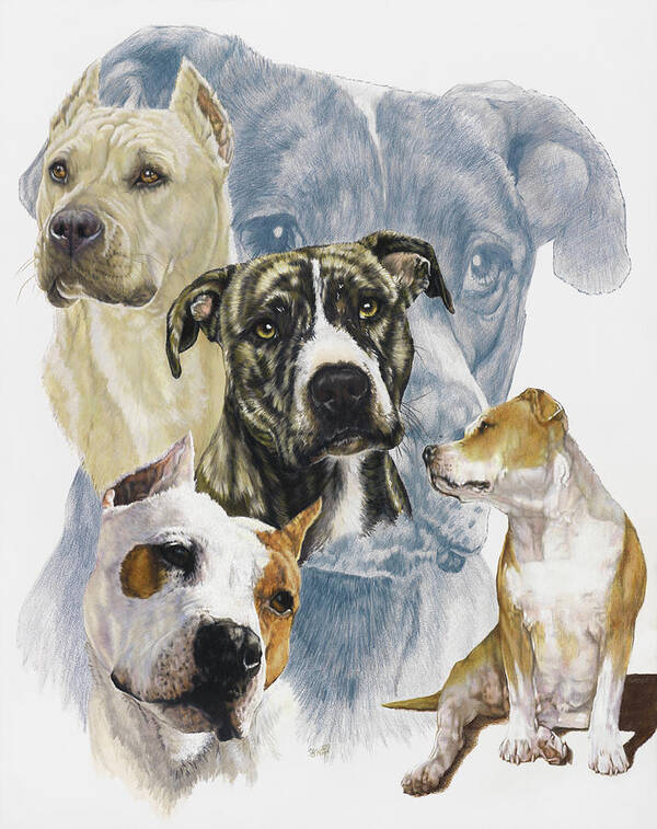 Terrier Art Print featuring the painting American Staffordshire Terrier by Barbara Keith