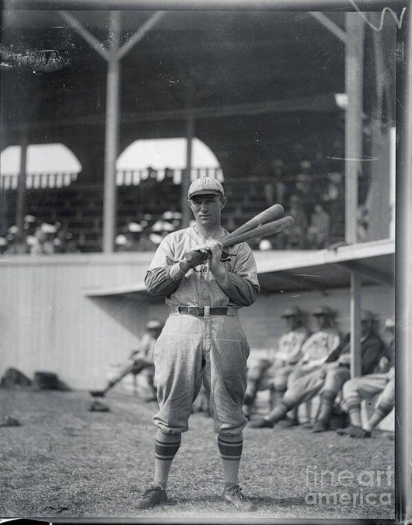 St. Louis Cardinals Art Print featuring the photograph Andy High During Spring Training by Bettmann