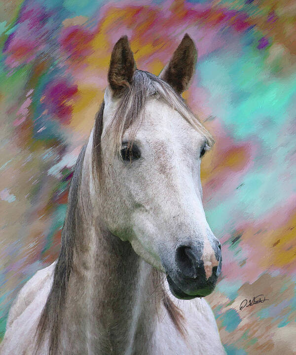 Portrait Art Print featuring the painting Arabian Horse DWP1001805 by Dean Wittle