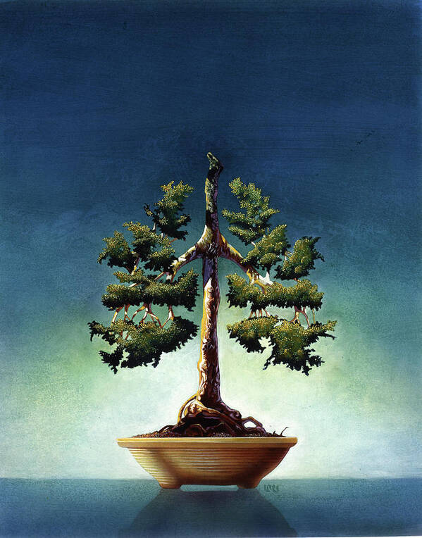 Bonsai Tree Art Print featuring the painting Bonsai Tree by John Rowe