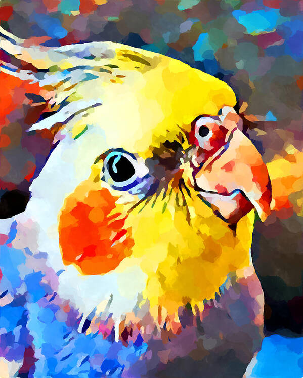 Animal Art Print featuring the painting Cockatiel 3 by Chris Butler