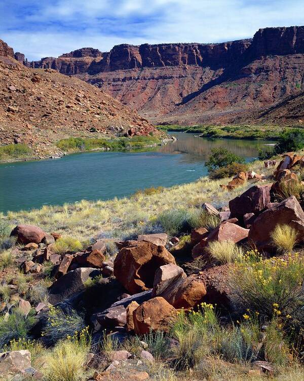 Scenics Art Print featuring the photograph Colorado River by Design Pics/david L. Brown