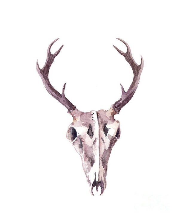 Animal Art Print featuring the digital art Deer Skull. Watercolor by Zzorik