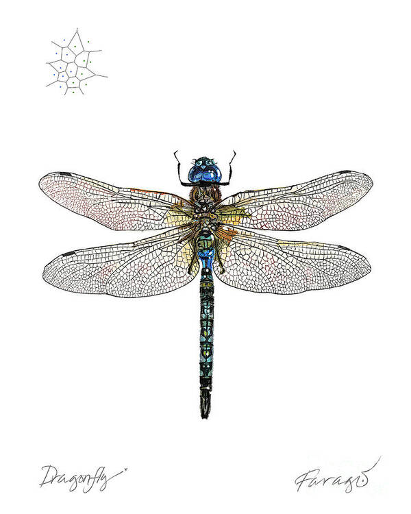 #faatoppicks Art Print featuring the drawing DragonFly by Peter Farago