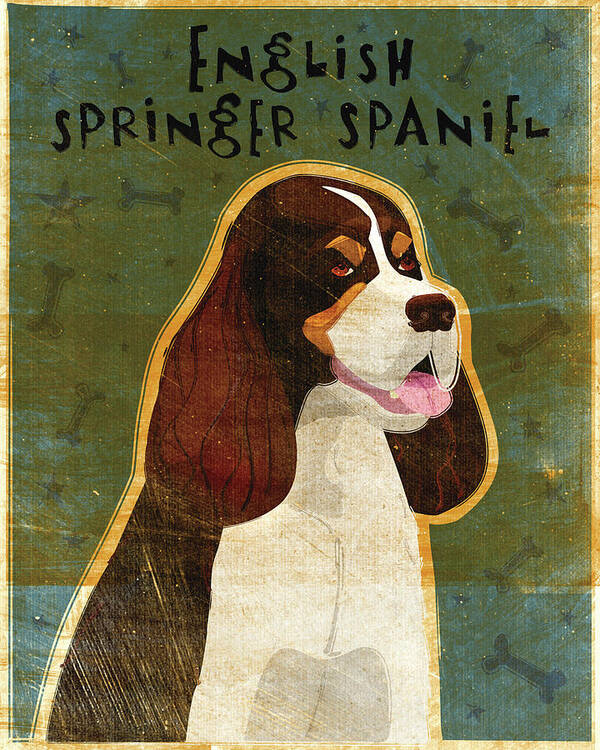 English Springer Spaniel (tri-color) Dog Art Print featuring the digital art English Springer Spaniel (tri-color) by John W. Golden
