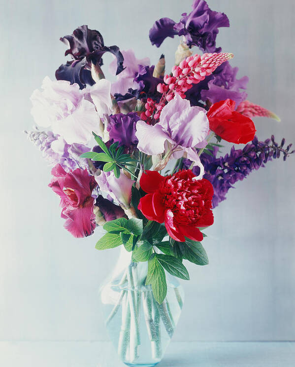 White Background Art Print featuring the photograph Fresh Flowers In A Vase by Victoria Pearson