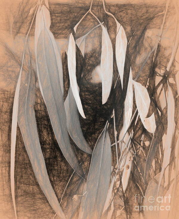 Da Vinci Art Print featuring the digital art Gum leaves by Fran Woods