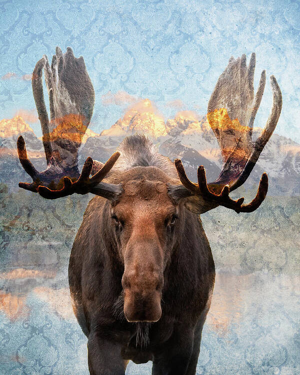 Moose Art Print featuring the photograph Hometown Moose by Mary Hone