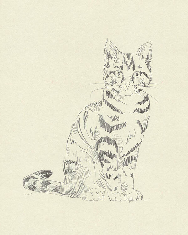 Pets Art Print featuring the painting House Cat Iv by Jacob Green
