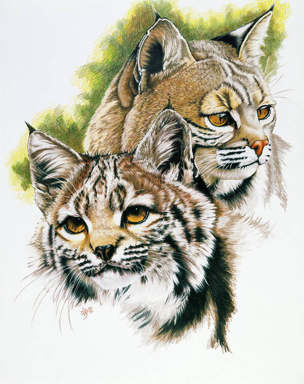 Bobcats (?) Art Print featuring the painting In The Woods by Barbara Keith