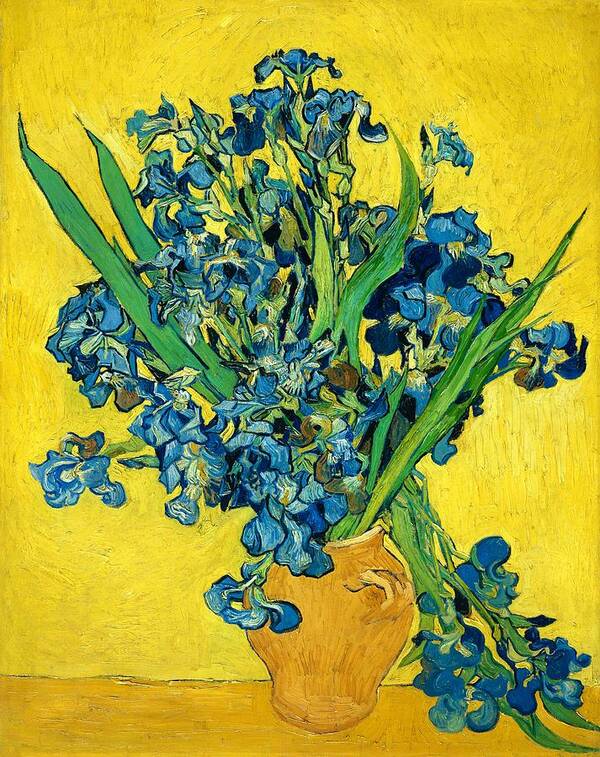 Vincent Willem Van Gogh Art Print featuring the painting Irises - Digital Remastered Edition by Vincent van Gogh