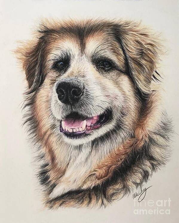 Dog Art Print featuring the drawing Loui by Mike Ivey