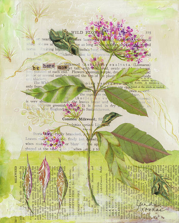 Memories Of Milkweed Art Print featuring the mixed media Memories Of Milkweed by Linda Arandas