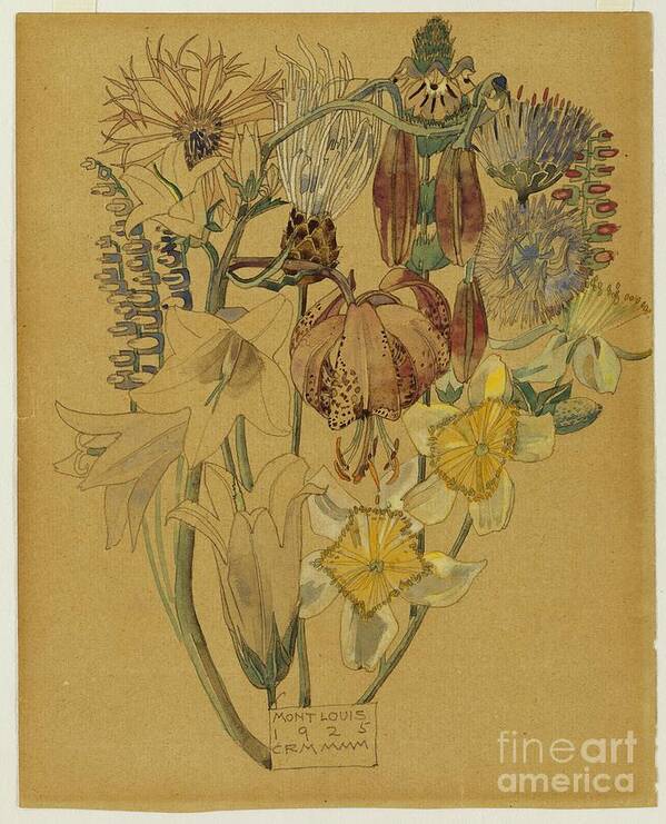 Art Art Print featuring the painting Mont Louis - Flower Study, 1925 by Charles Rennie Mackintosh