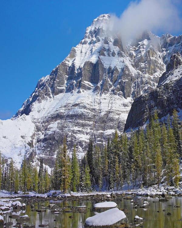 00586276 Art Print featuring the photograph Mount Huber, Yoho National Park, British Columbia, Canada by Tim Fitzharris