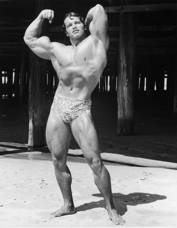 People Art Print featuring the photograph Nice Muscle by Hulton Archive