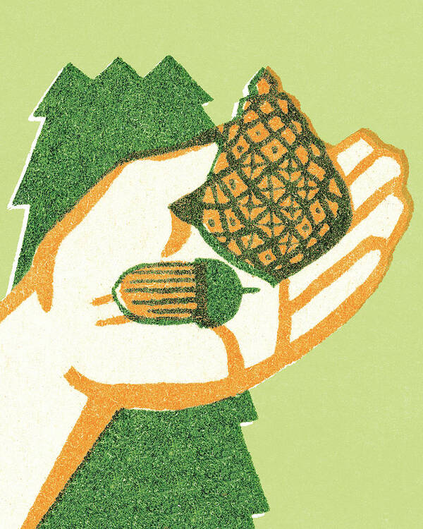 Acorn Art Print featuring the drawing Nuts in the hand by CSA Images