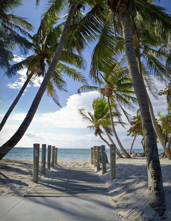 Eco Tourism Art Print featuring the photograph Path To The Beach by Box5