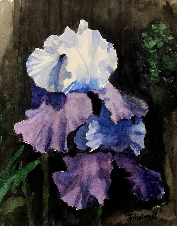 Purple Art Print featuring the painting Purple-Blue Iris by John West
