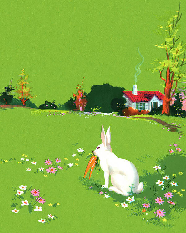 Animal Art Print featuring the drawing Rabbit Eating a Carrot on the Grass by CSA Images