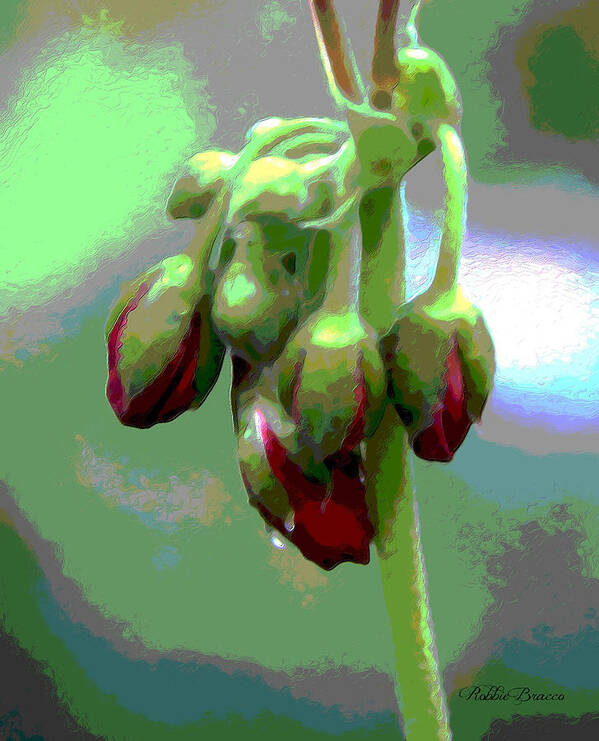 Posterized Art Print featuring the photograph Red Posterized Geranium Flower Buds by Philip And Robbie Bracco