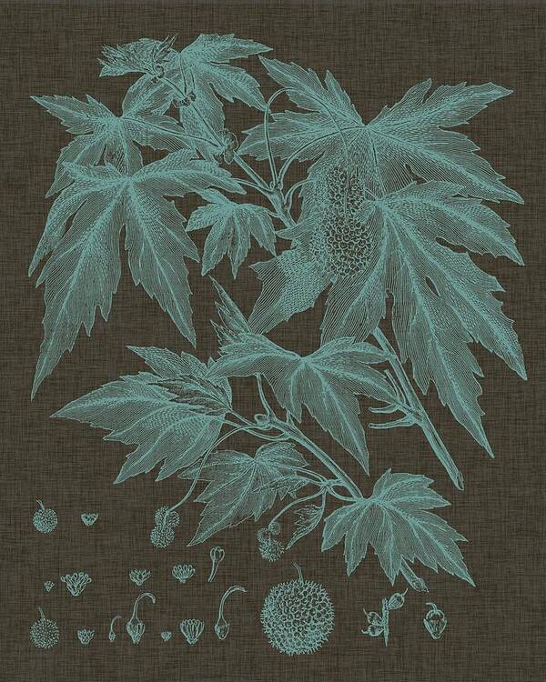 Botanical & Floral Art Print featuring the painting Shimmering Leaves Vii by Vision Studio