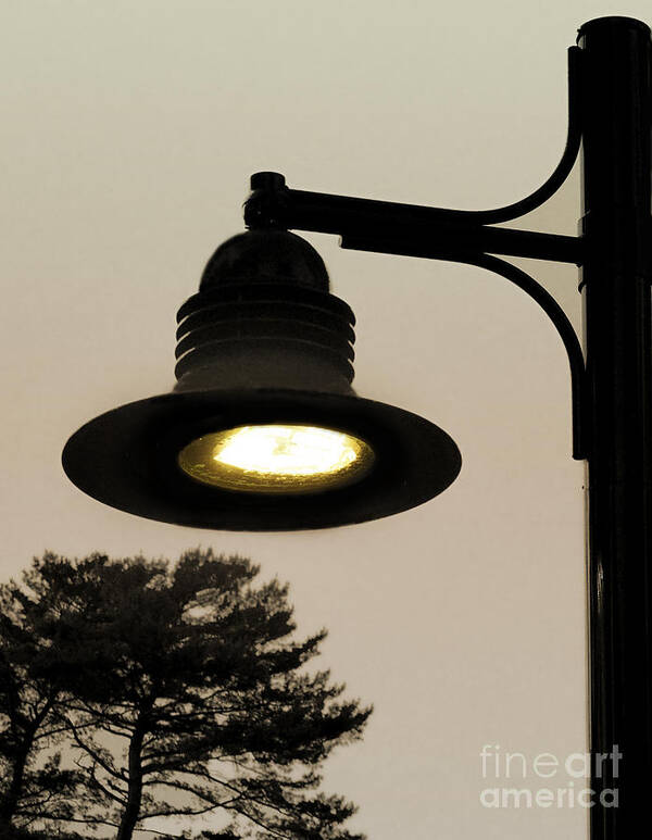 Lamp Art Print featuring the photograph Street Lamp by Raymond Earley