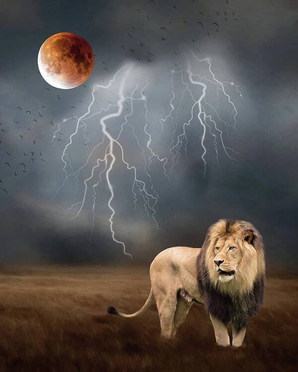Lion Art Print featuring the photograph The Big Guy by Rebecca Cozart