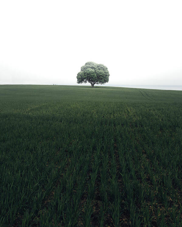 Landscape Art Print featuring the photograph The Lonely Oak Tree by Christian Lindsten