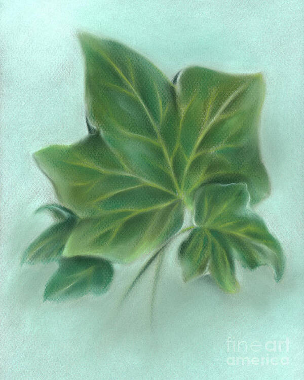 Botanical Art Print featuring the painting Three Green Ivy Leaves by MM Anderson