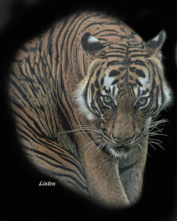 Tiger Art Print featuring the digital art Tiger 6 by Larry Linton