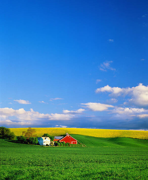 Scenics Art Print featuring the photograph Usa, Idaho, Farmhouse And Barn by Darrell Gulin