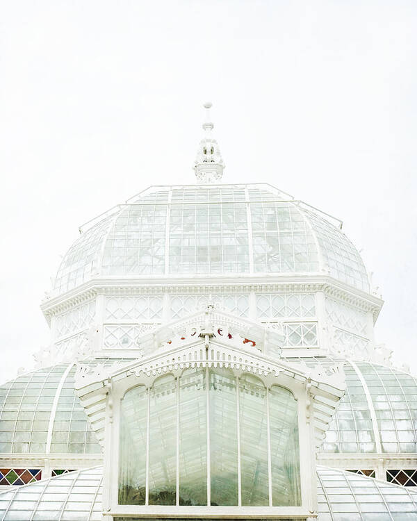 Arboretum Art Print featuring the photograph Victorian White by Lupen Grainne