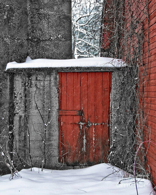 Winter Art Print featuring the photograph Winter Red Door by Billy Knight