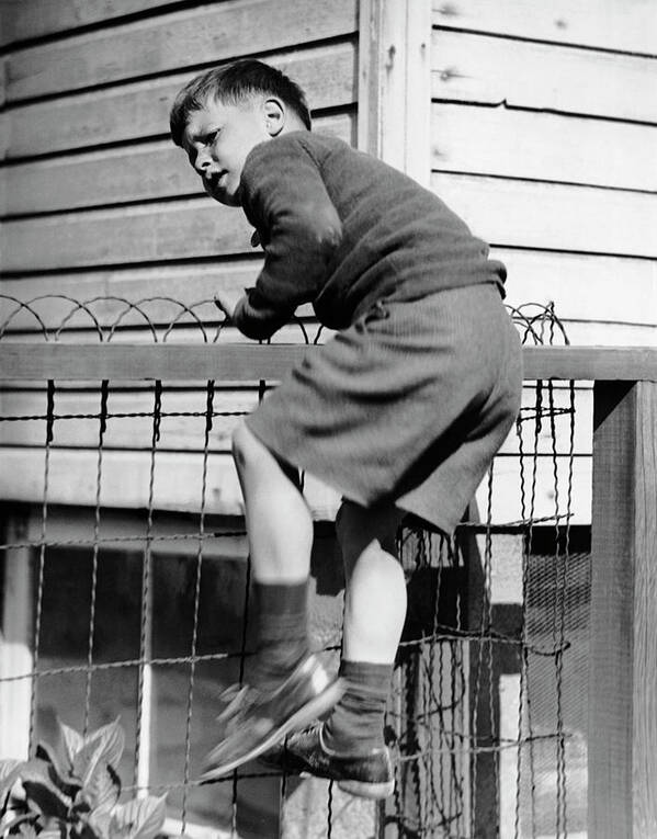 Child Art Print featuring the photograph Young Boy Climbing Fence by George Marks