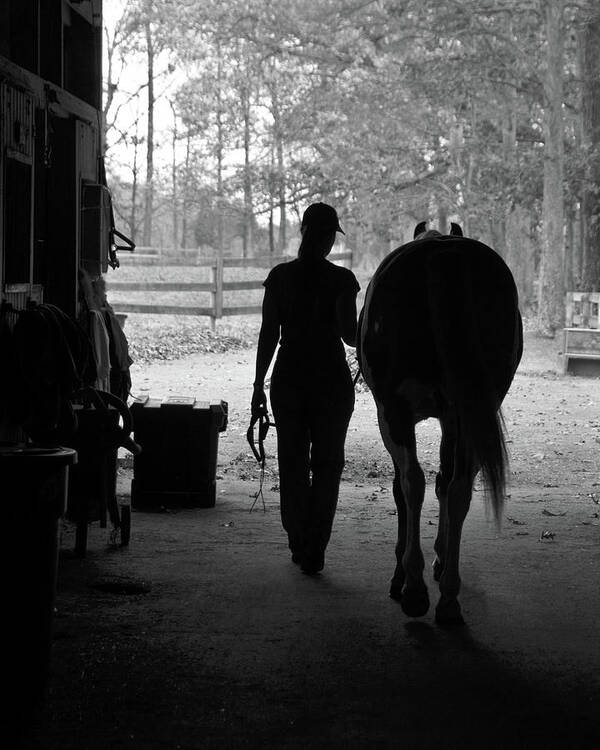 Horses Art Print featuring the photograph Day's End by Minnie Gallman