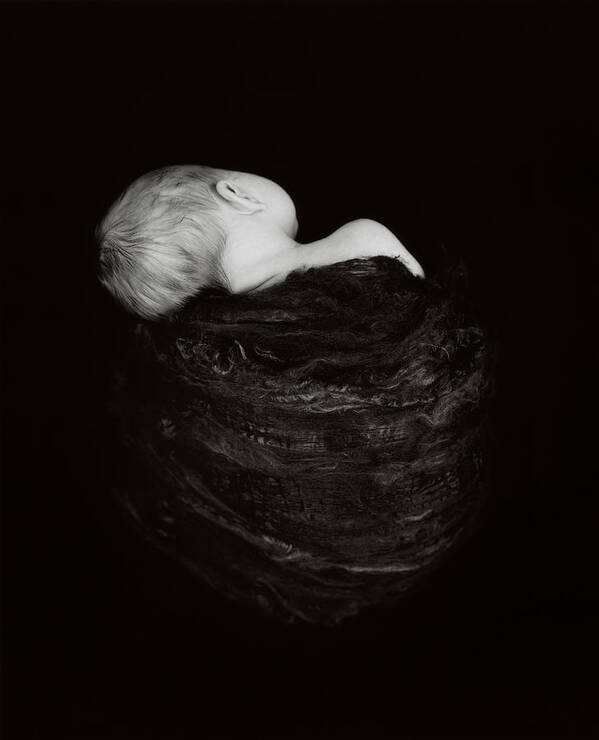 Black & White Art Print featuring the photograph Holly in Black Silk #1 by Anne Geddes