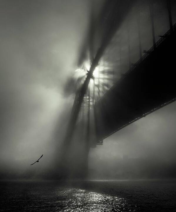 Monochrome Art Print featuring the photograph One Morning at the Bridge by Grant Galbraith