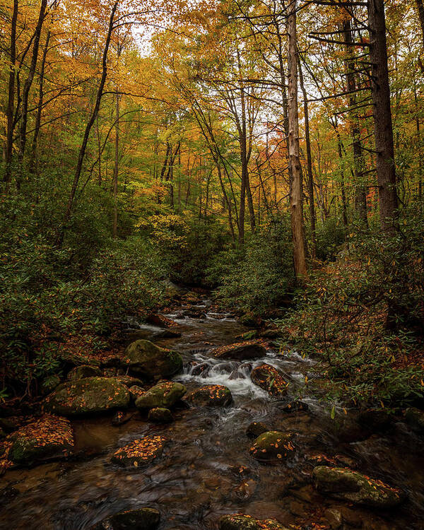 Fall Art Print featuring the photograph 583 by Bill Martin
