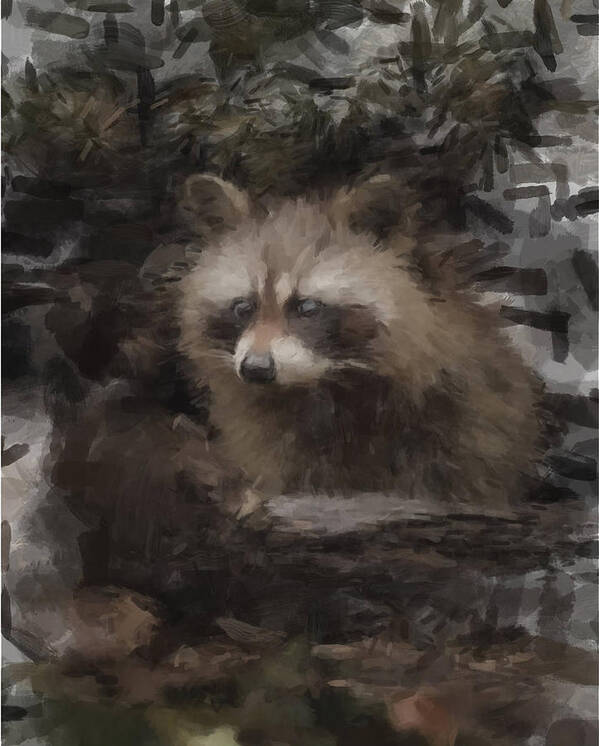 Racoon Art Print featuring the painting A Cleaver Racoon by Gary Arnold