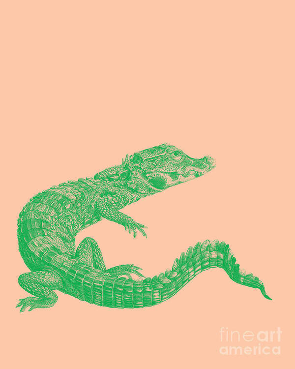 Crocodile Art Print featuring the digital art Alligator In Green And Pink by Madame Memento