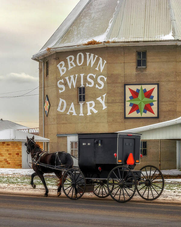 Barn Art Print featuring the photograph Amish Buggy at the Brown Swiss Dairy by Susan Rissi Tregoning