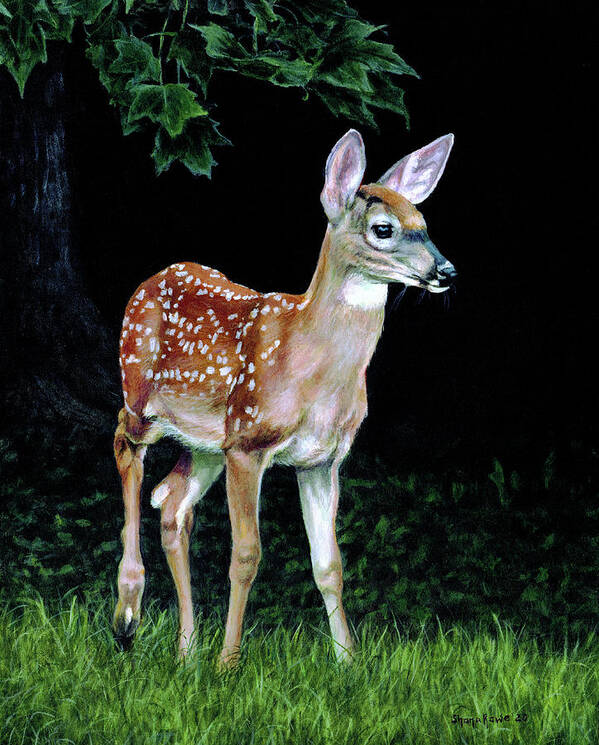 Deer Art Print featuring the painting At the Edge of the Forest by Shana Rowe Jackson