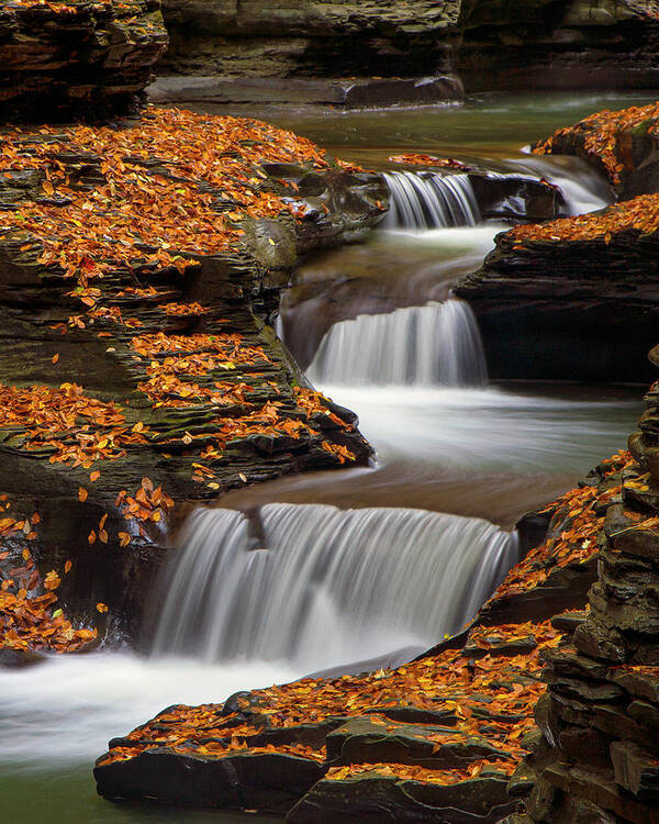 Waterfalls Art Print featuring the photograph Autumn Flow by Timothy McIntyre