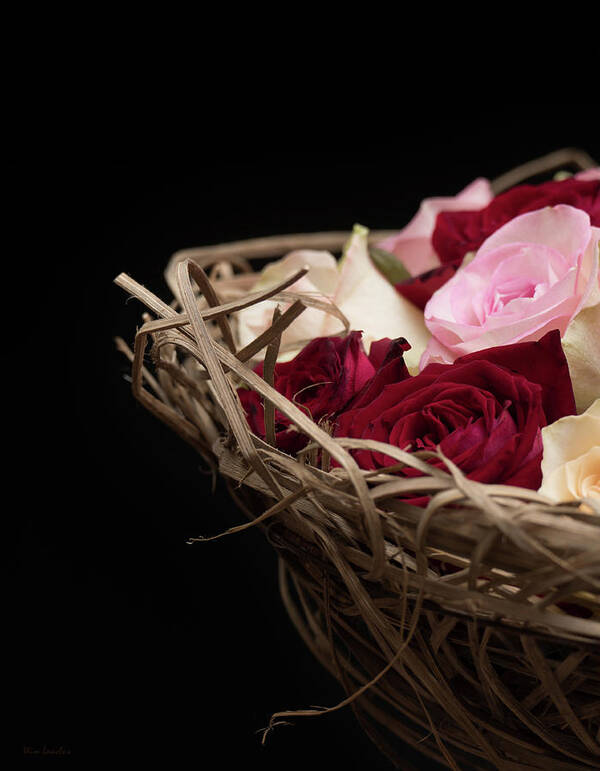 Roses Art Print featuring the photograph Basket of Roses by Wim Lanclus