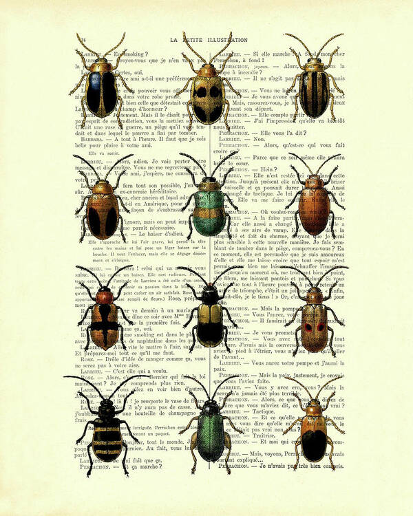 Beetle Art Print featuring the digital art Beetle collection on antique French book page by Madame Memento