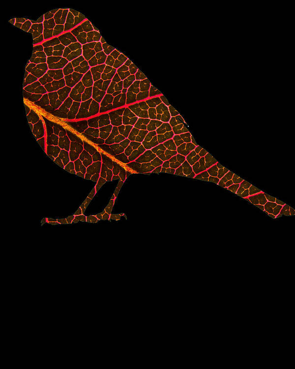 Bird Shirt Art Print featuring the digital art Bird 745 by Lin Watchorn