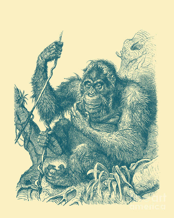 Orangutan Art Print featuring the mixed media Blue Orangutan Ape by Madame Memento