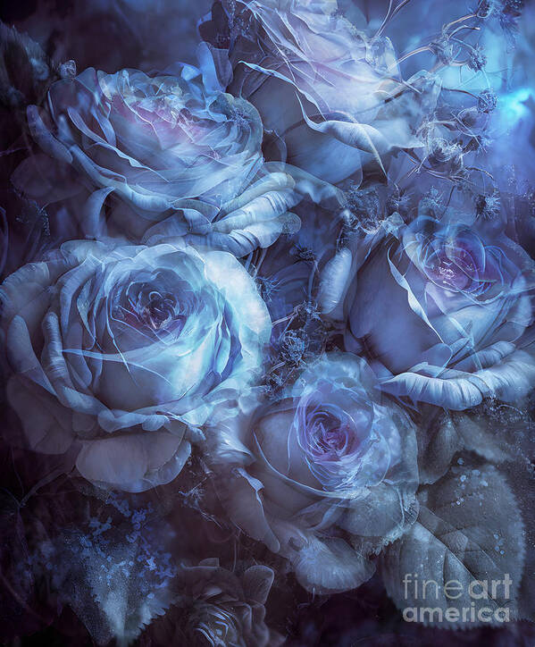 Blue Roses Art Art Print featuring the mixed media Blue Roses Art by Shanina Conway