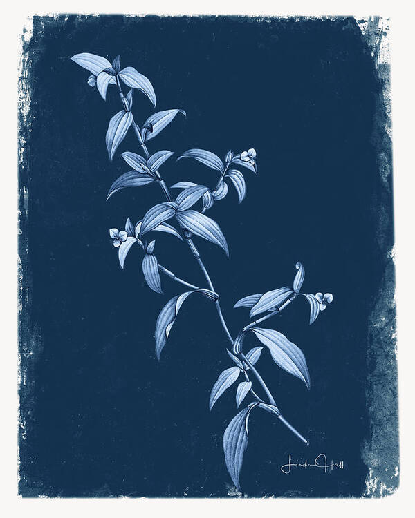 Digital Art Print featuring the digital art Botanical Cyanotype Series No. Three by Linda Lee Hall